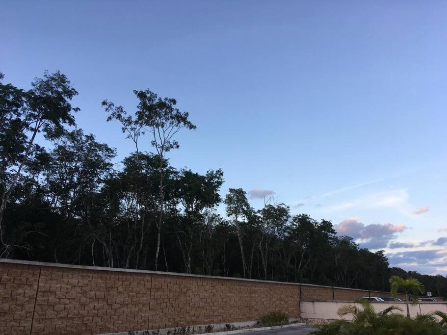 Departamento Tropical En Căn hộ *