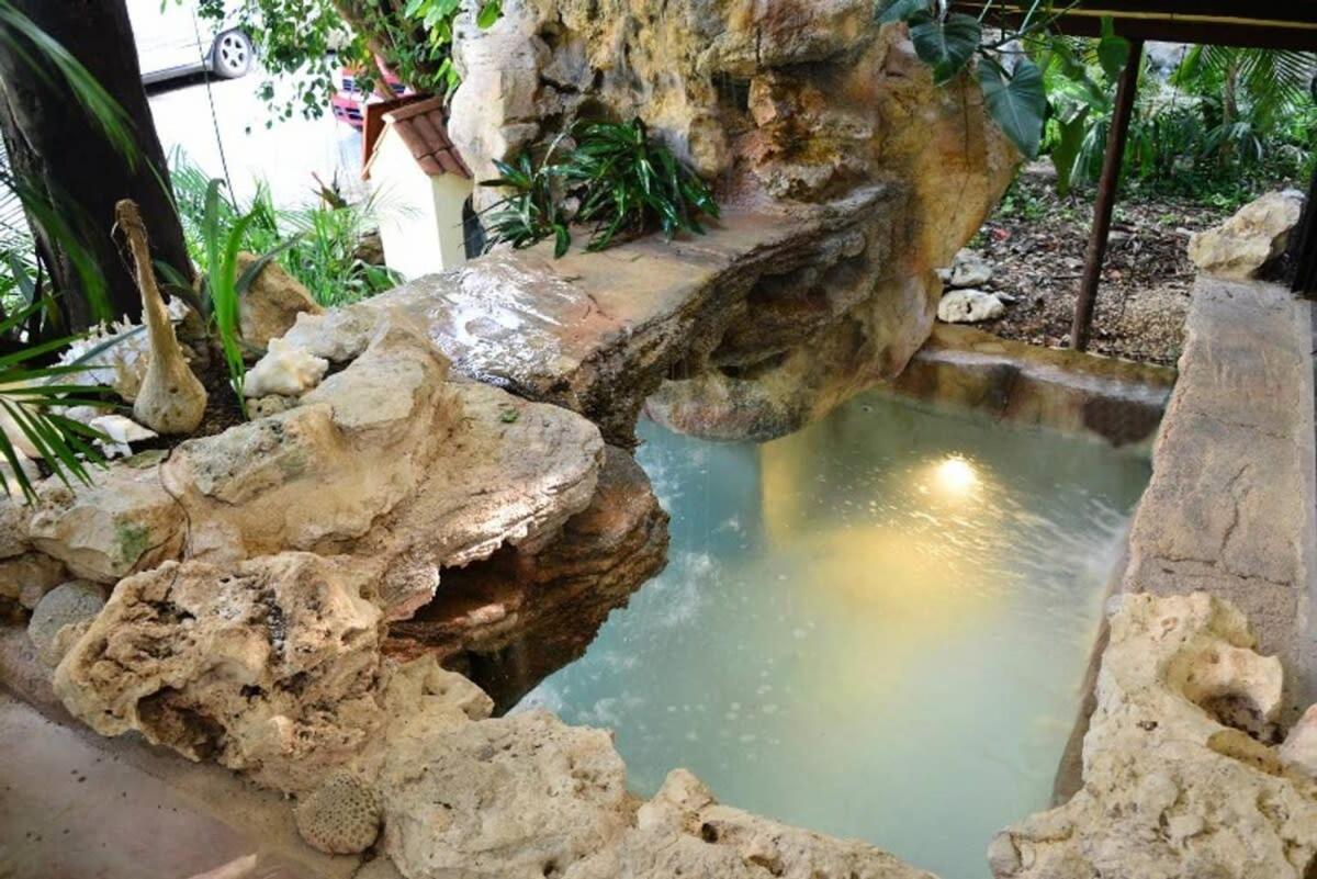 Unique Mexican Villa! Plunge Pool, Ocean Views Playa del Carmen