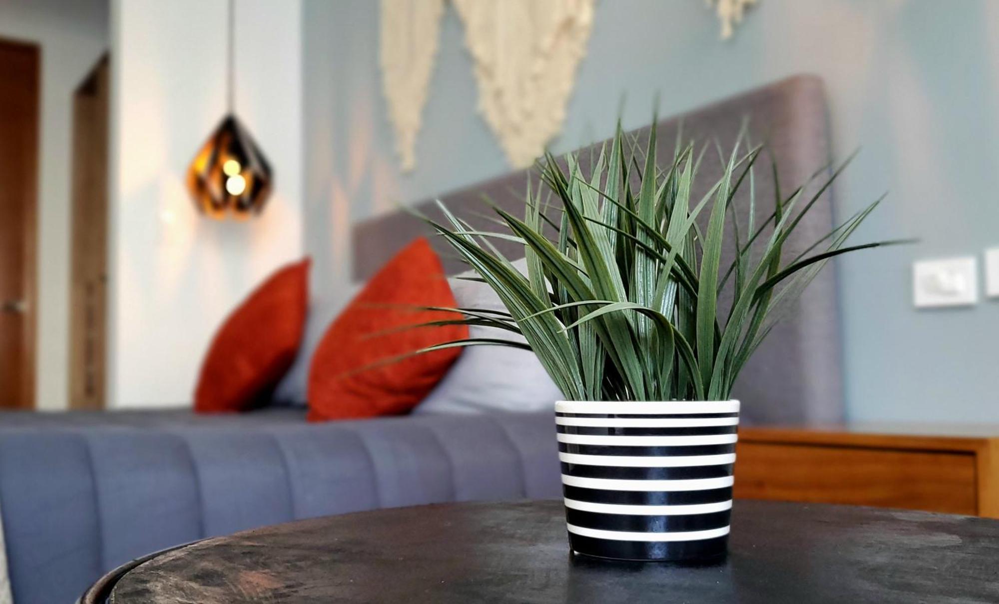 Stylish Loft 4 Blocks From 5 Ave Playa del Carmen
