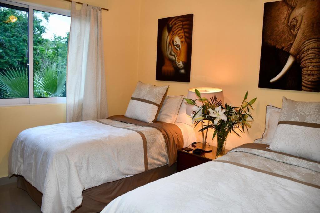 Pousada Casa Sol 3 & 4 Bedroom With Swimming Pool Close To The