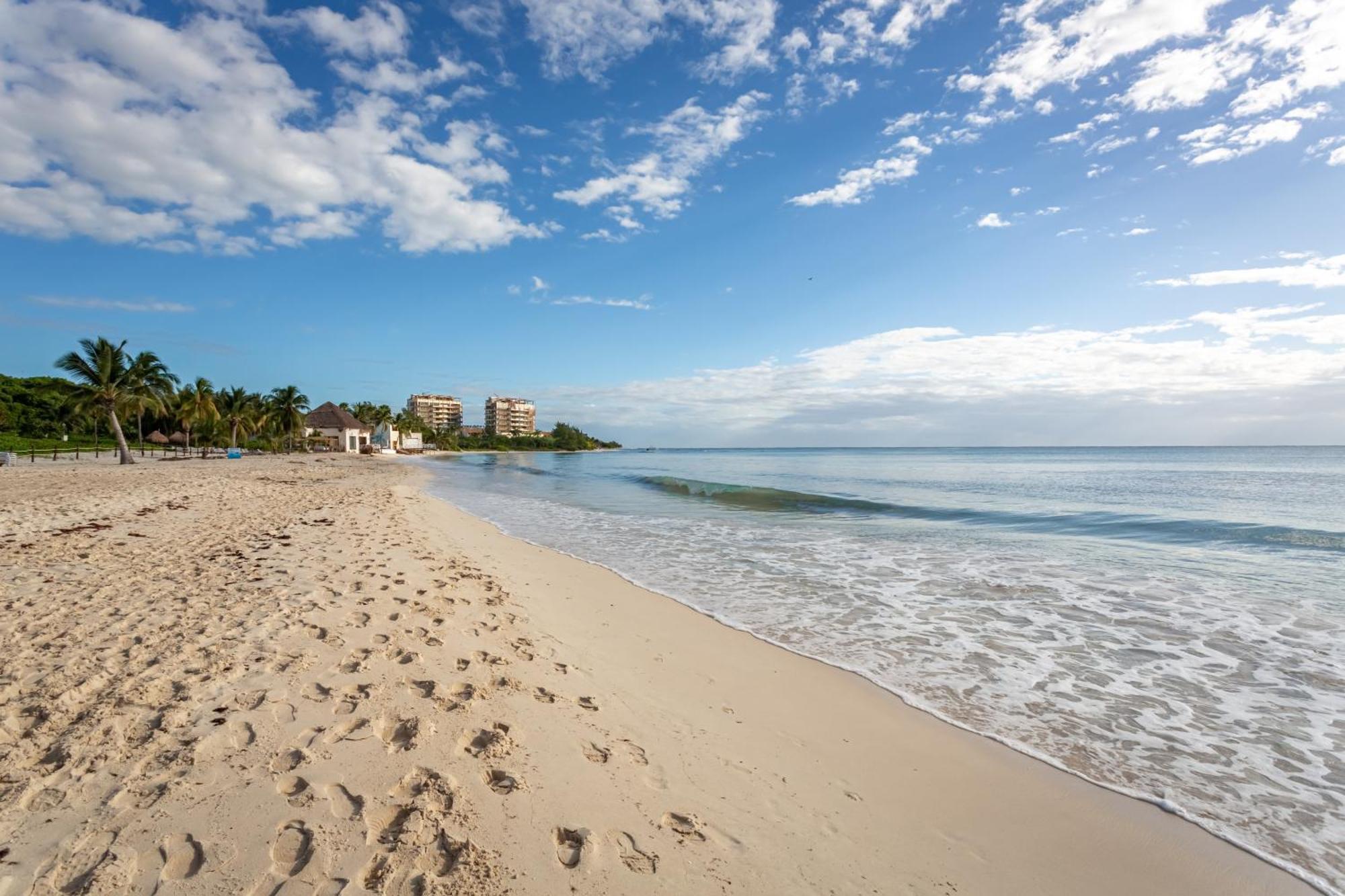 Apartment Casa Marbella Ocean View Penthouse Apts *