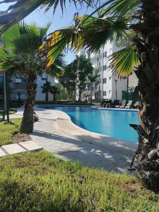 Startip Condo Playa Del Carmen Piscina, Wi-Fi Y Restaurantes * Playa del Carmen