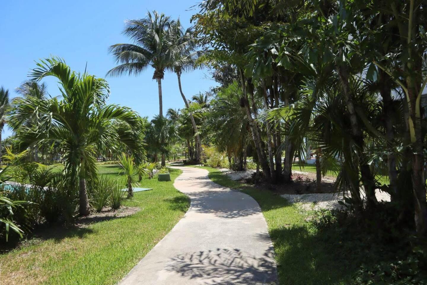 Apartment Exclusive Ocean-view In Riviera Maya