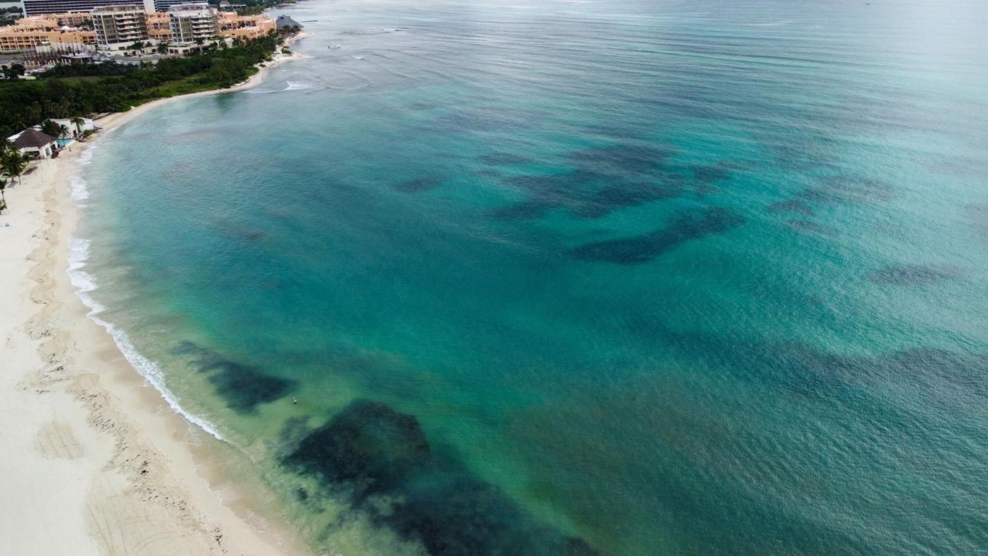 Exclusive Ocean-view In Riviera Maya Apartment