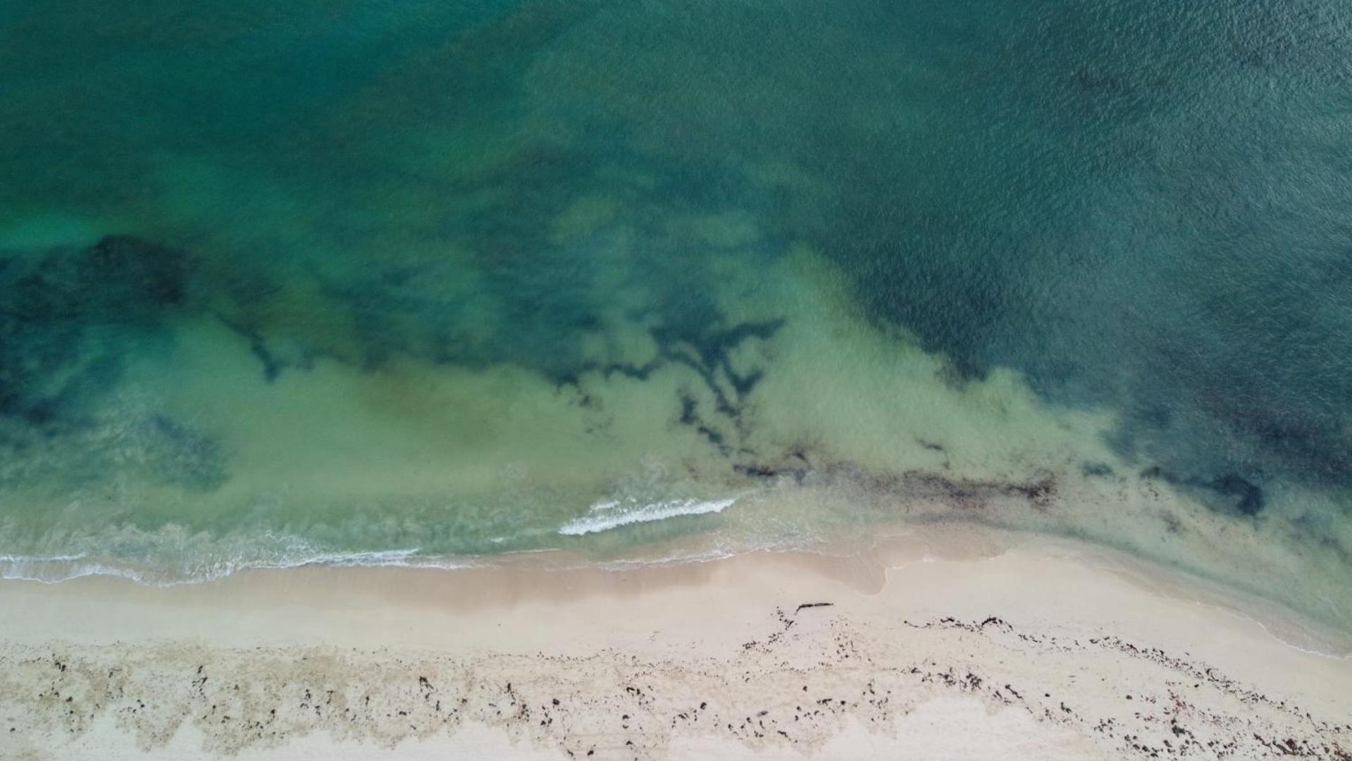 Exclusive Ocean-view In Riviera Maya Playa del Carmen