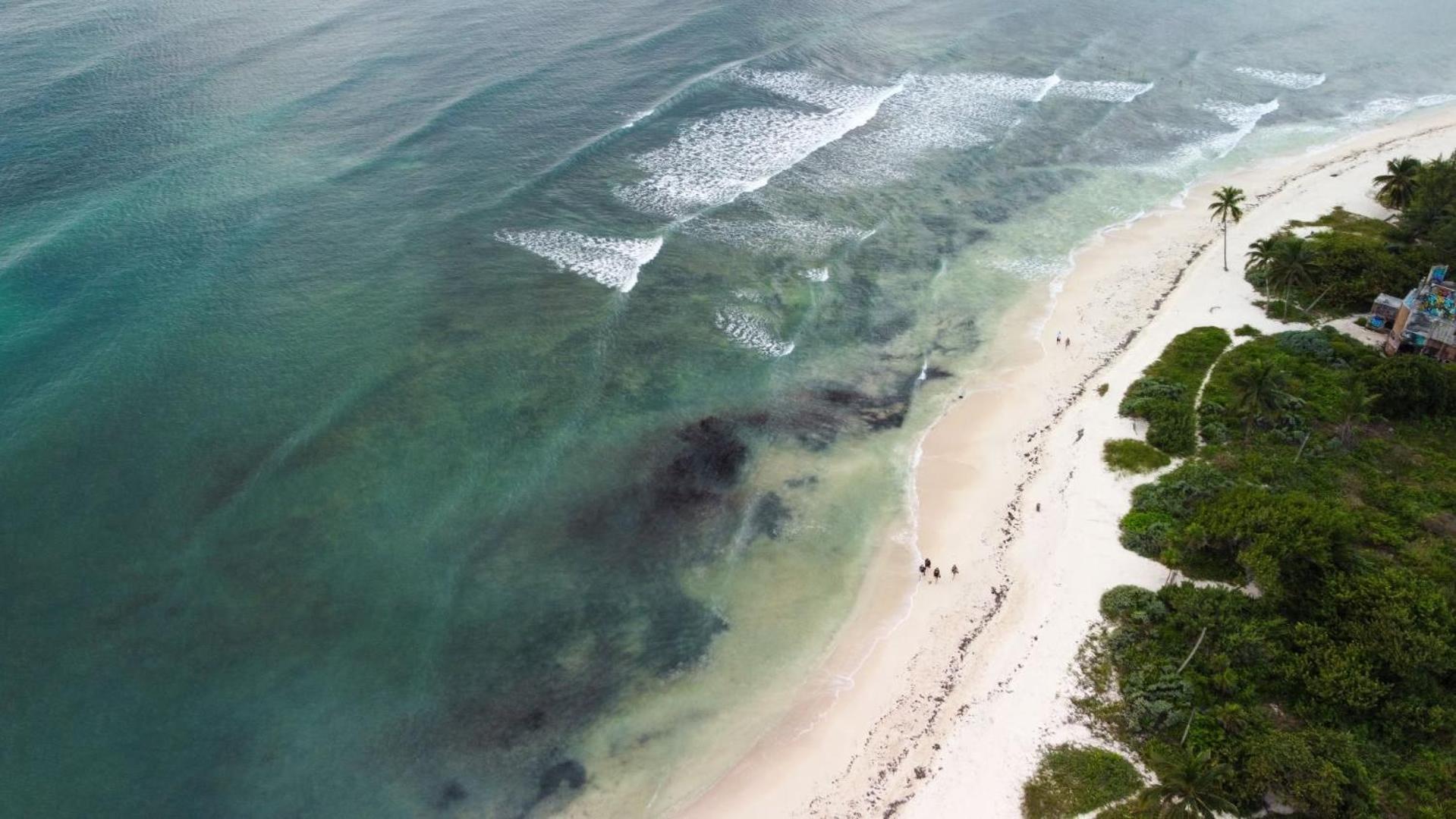 Exclusive Ocean-view In Riviera Maya * Playa del Carmen