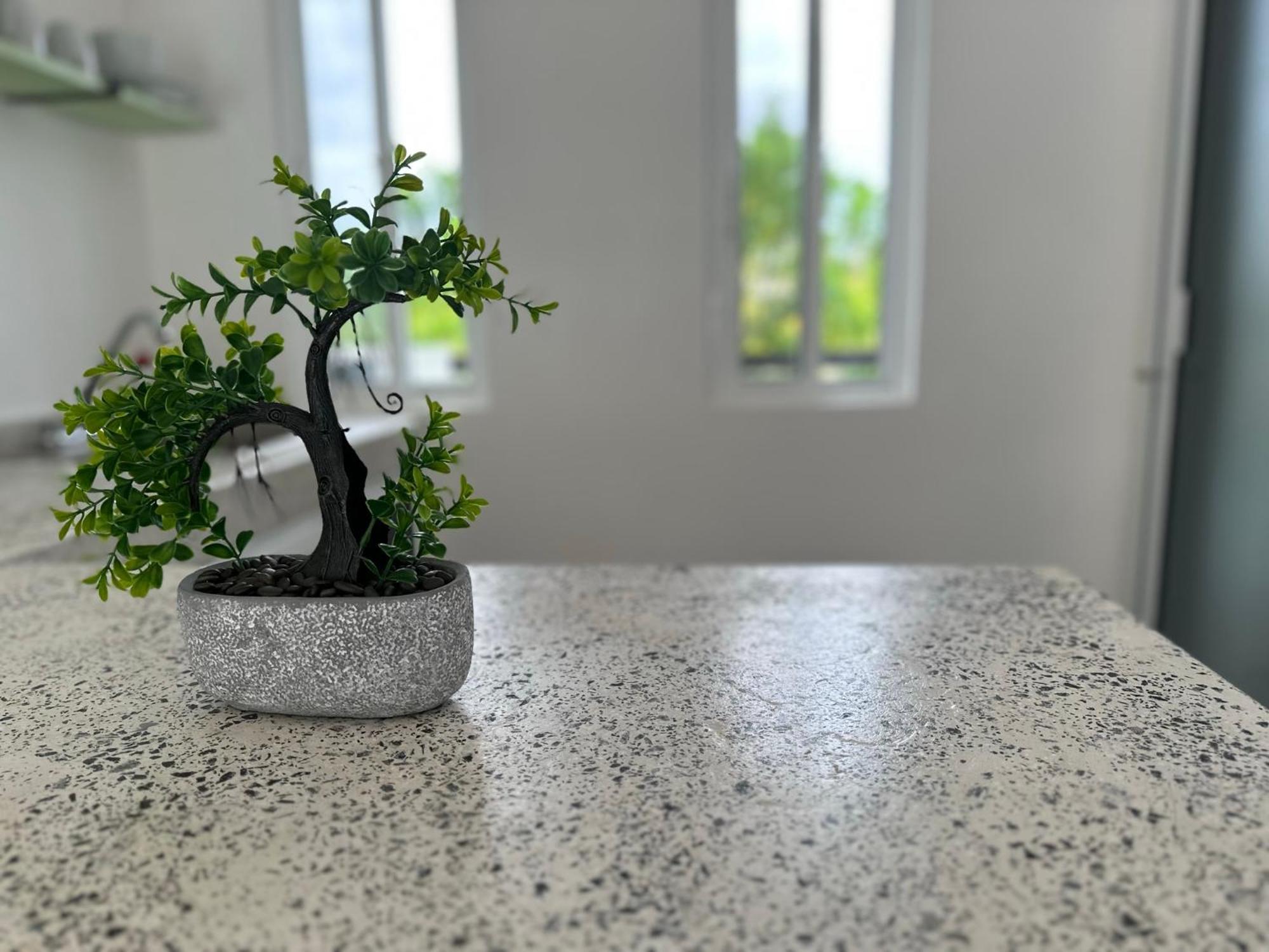 Apartamento La Quinta Caribena
