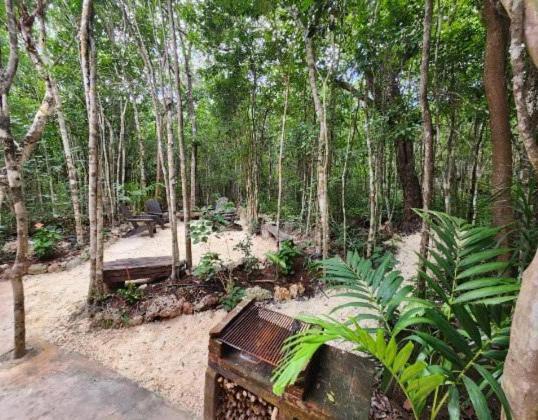 Casa & Palapa De La Selva Holiday home *