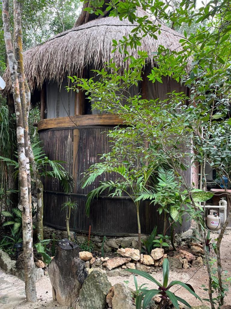 Holiday home Casa & Palapa De La Selva Playa del Carmen