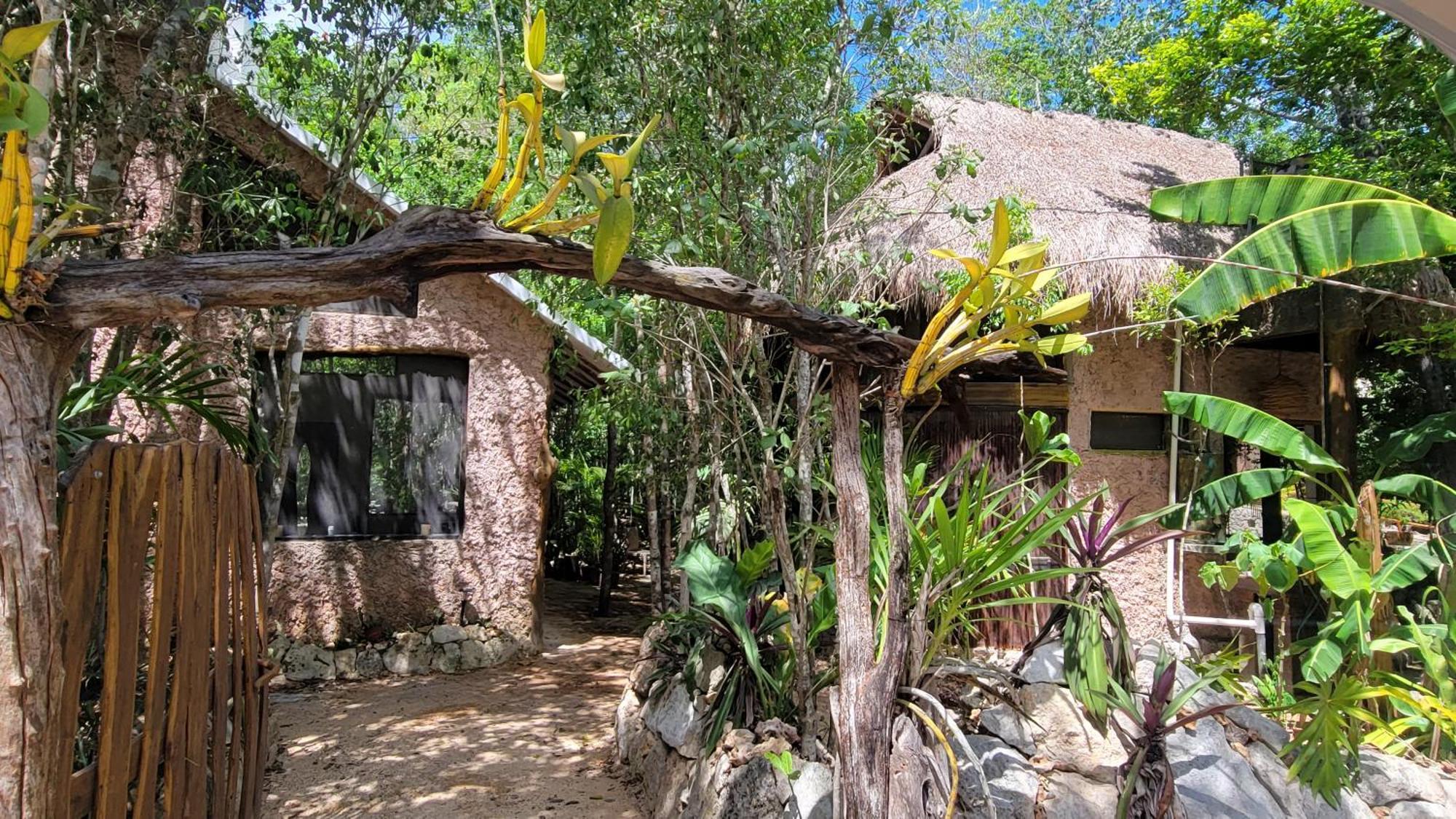 Casa & Palapa De La Selva Holiday home *