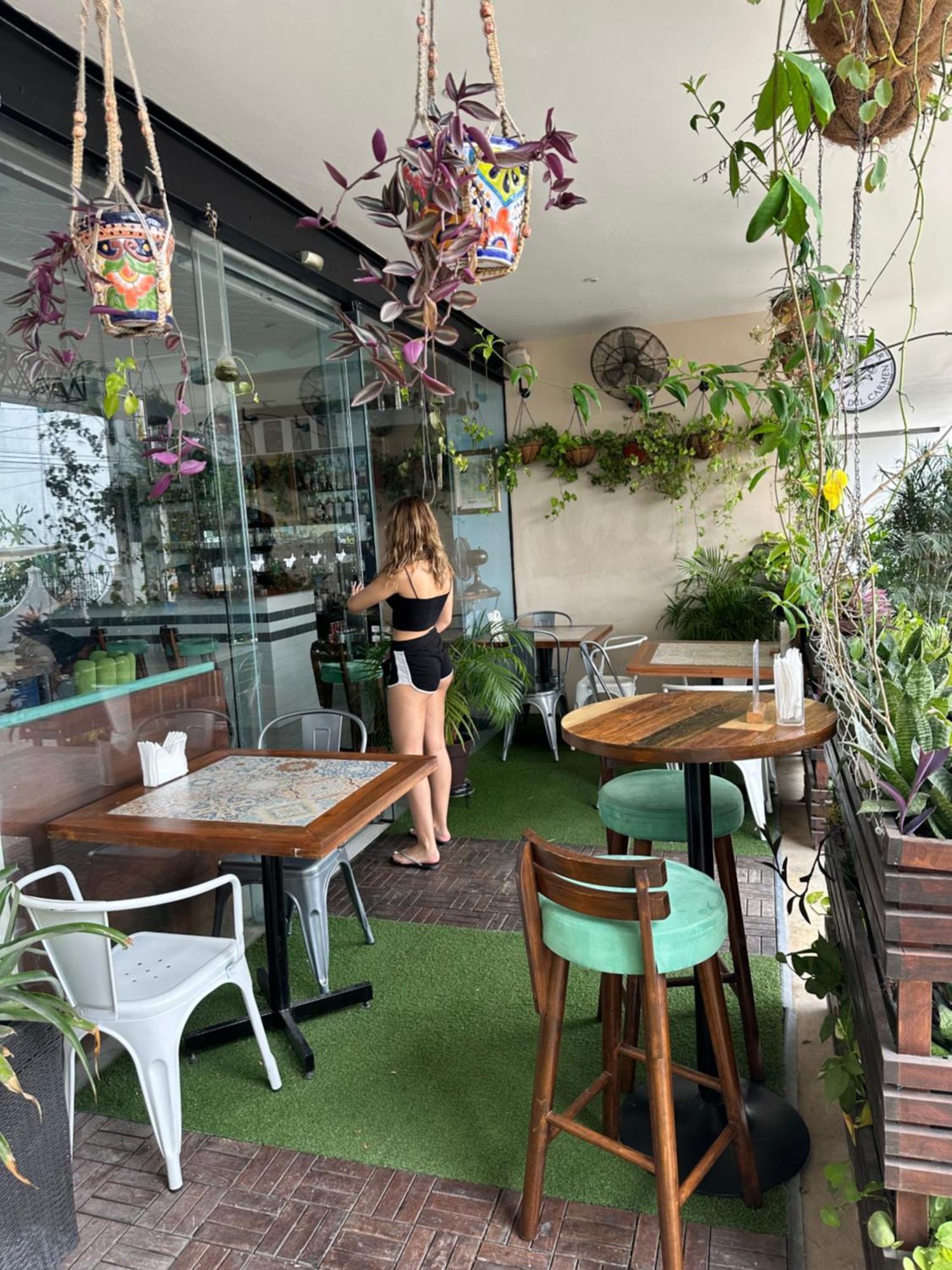 Paseo Luxury House Căn hộ *