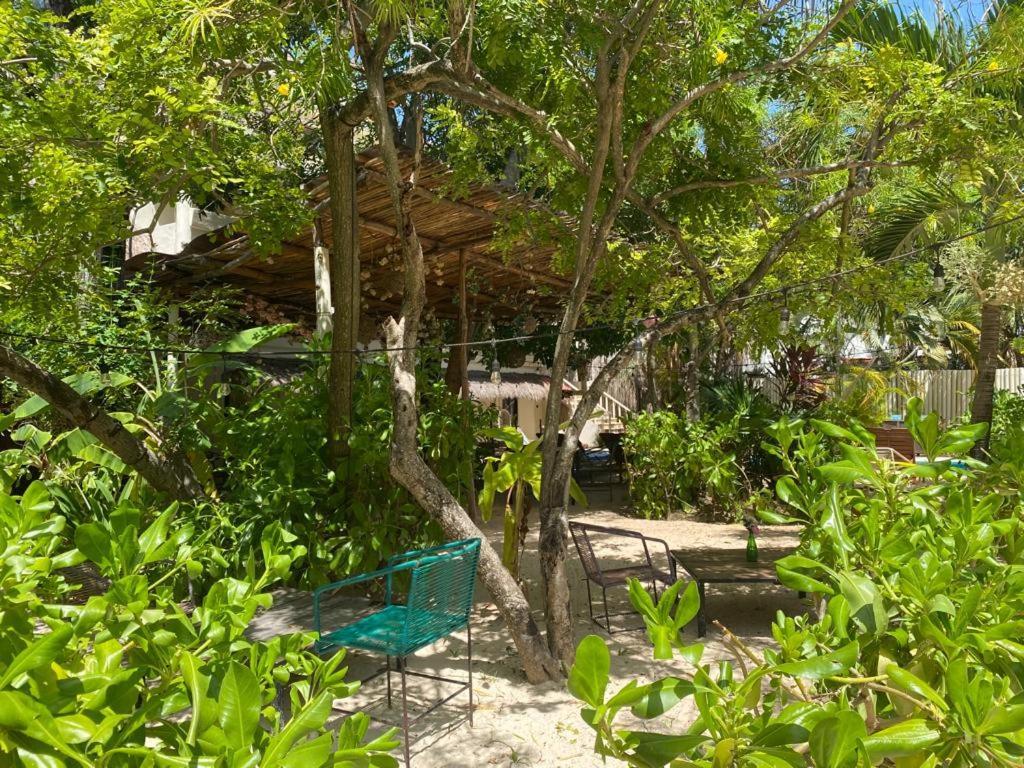 Hotel Nature (adults Only) Playa del Carmen