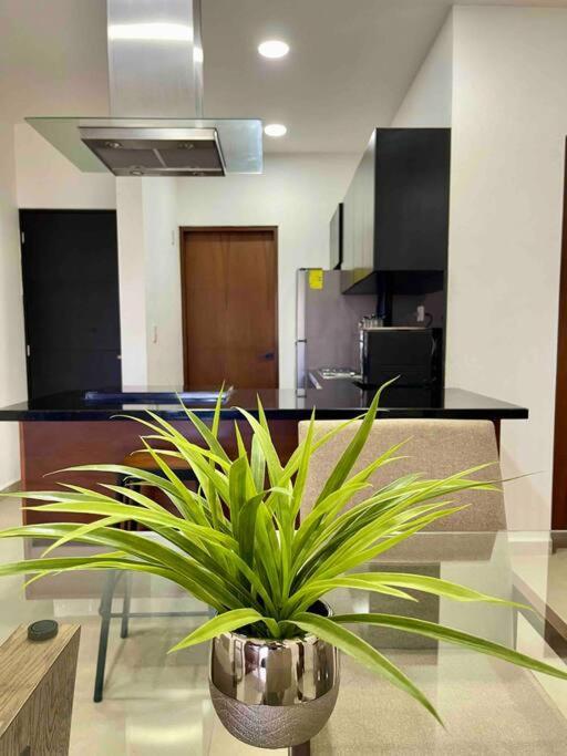 Apartamento Lo Mejor En Playa del Carmen
