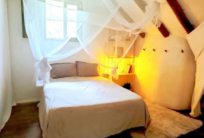 Casa Raices De La Luna Homestay Playa del Carmen