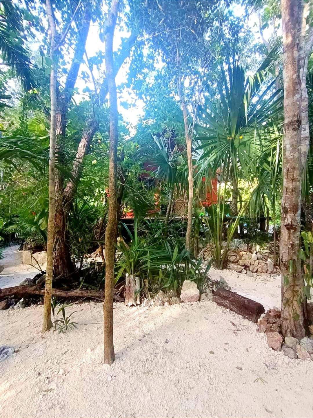 Homestay Casa Raices De La Luna