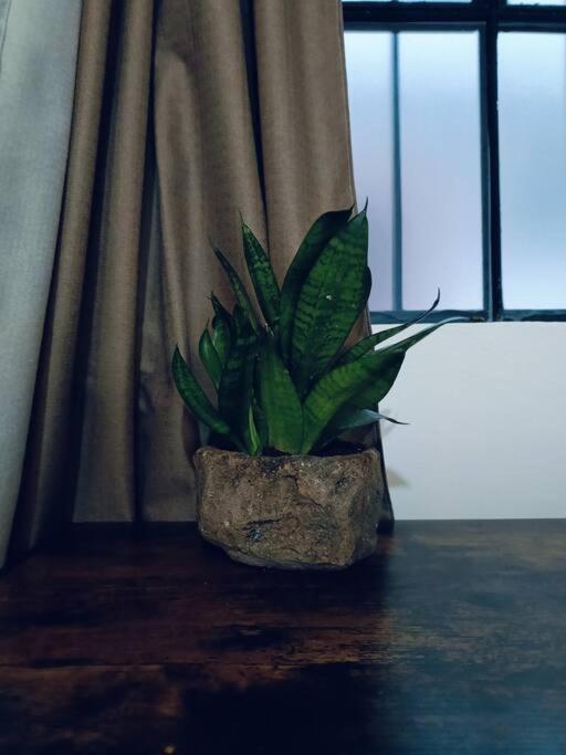 # 7 - Comoda Cerca Del Mar. Apartamento