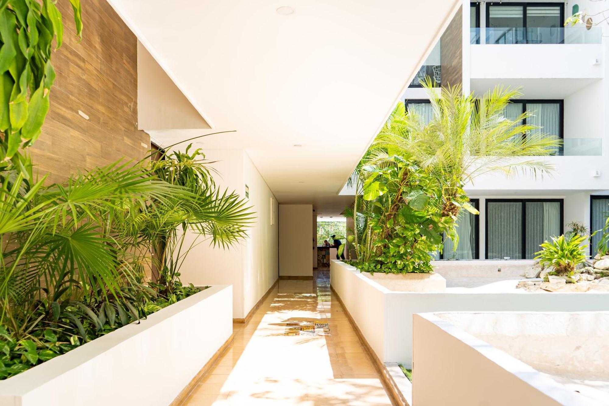 Căn hộ Anah Downtown 10 Playa del Carmen
