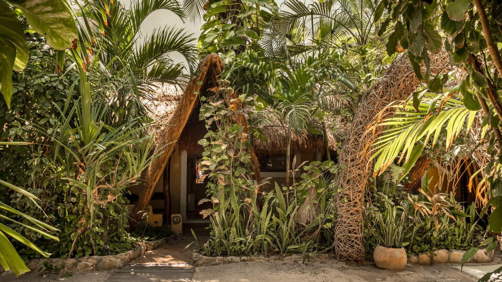 Khách sạn Casa Colibri