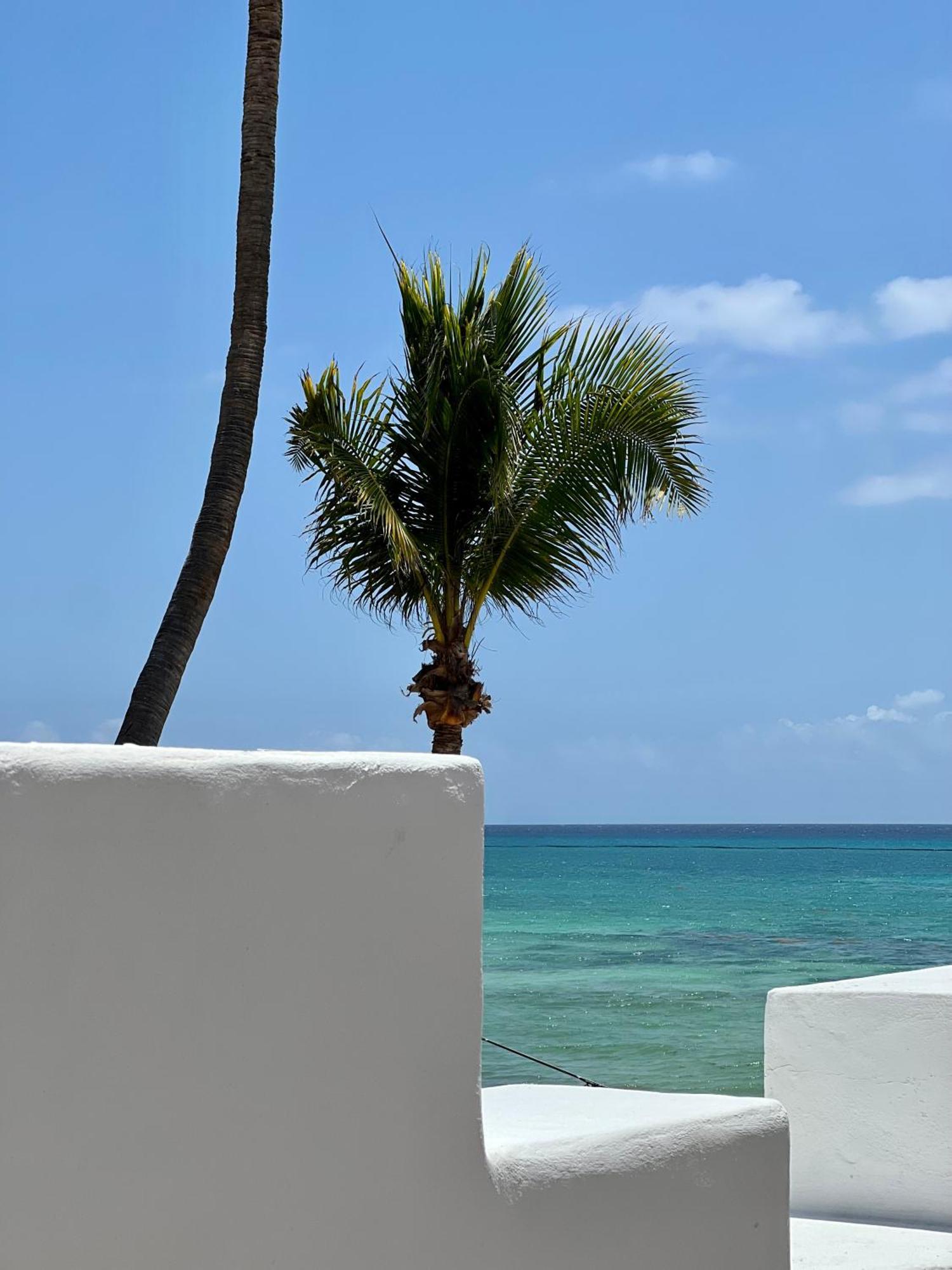 Pelicano - Beachfront
