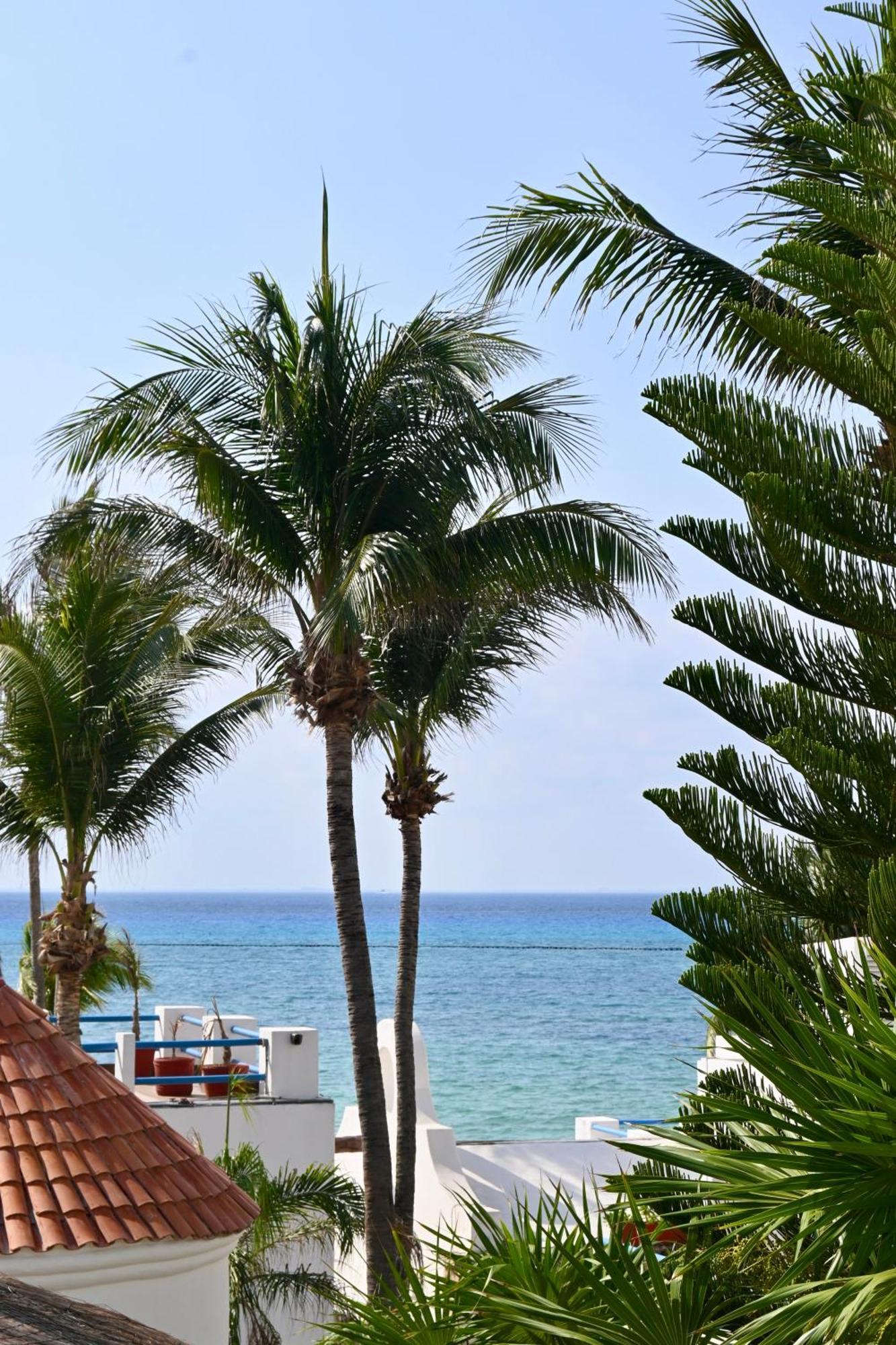 Pelicano - Beachfront 3* Playa del Carmen