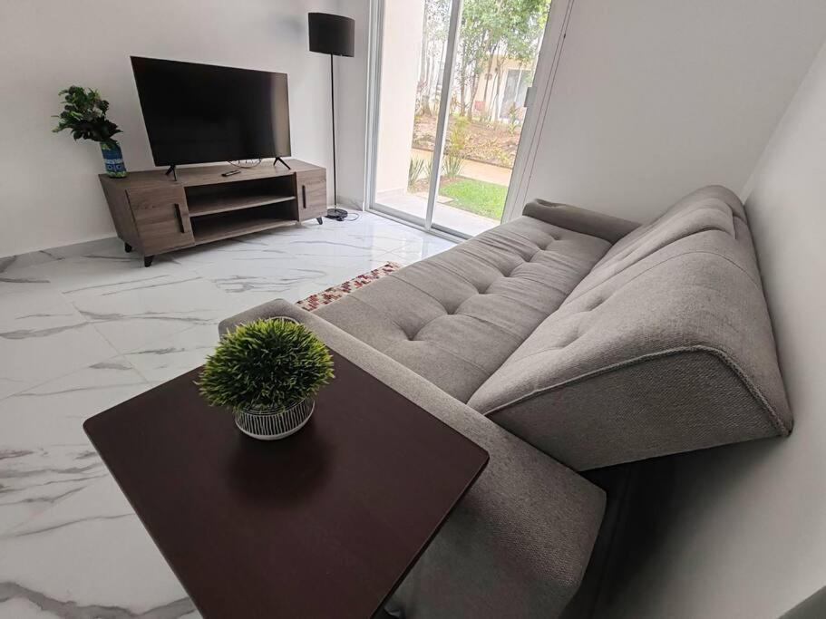Apartment Vive La Experiencia Y Descanso