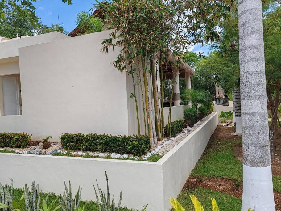 Apartment Vive La Experiencia Y Descanso