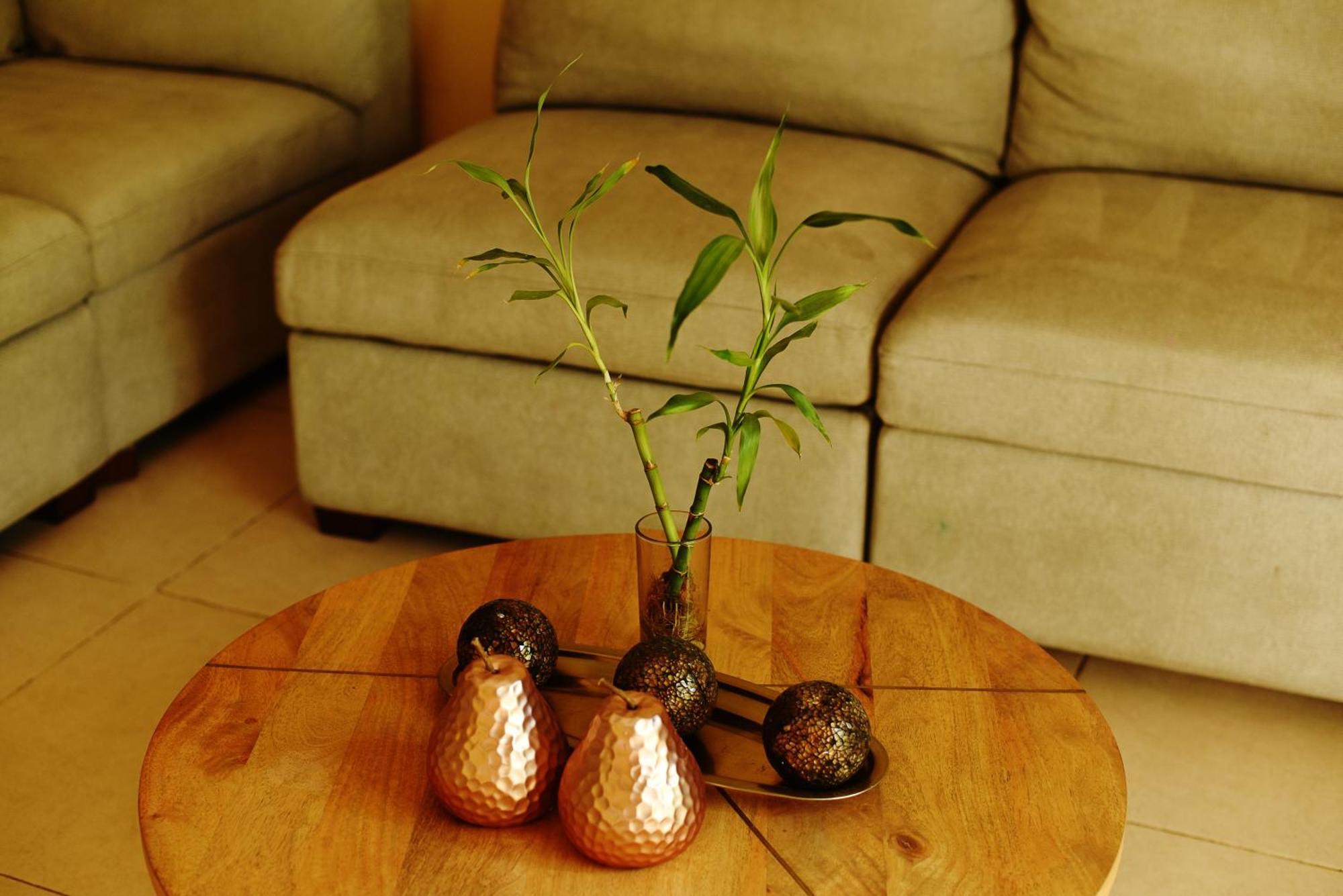 Apartment Pablos At The