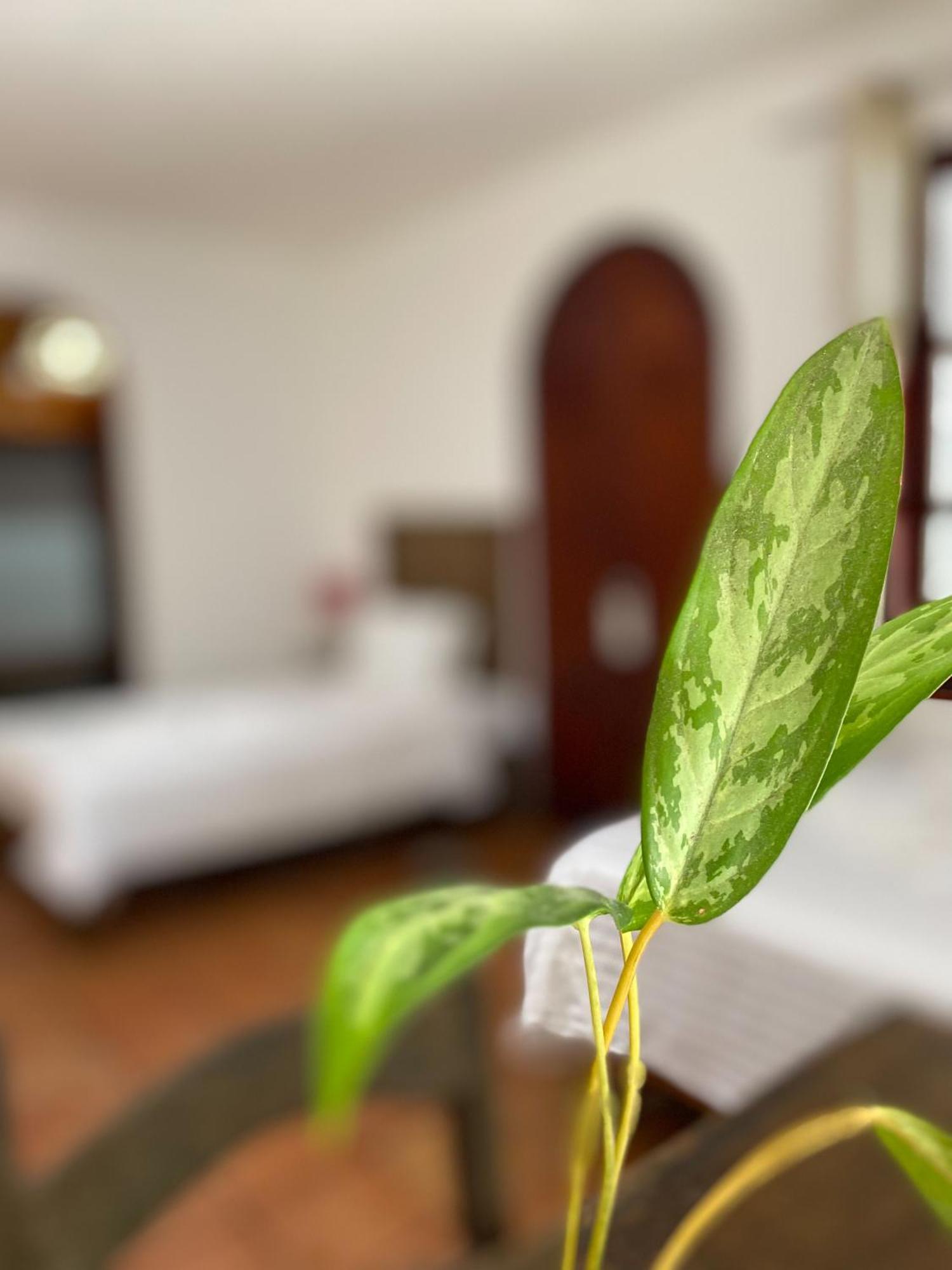 Bed & Breakfast Casaejido