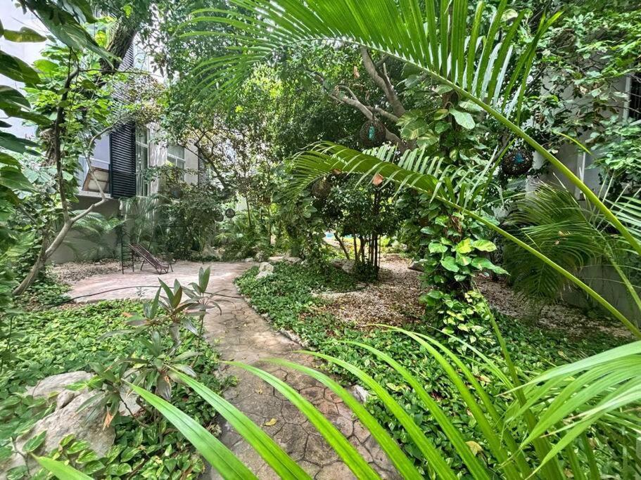 Apartamento Depa En Centro Playa del Carmen