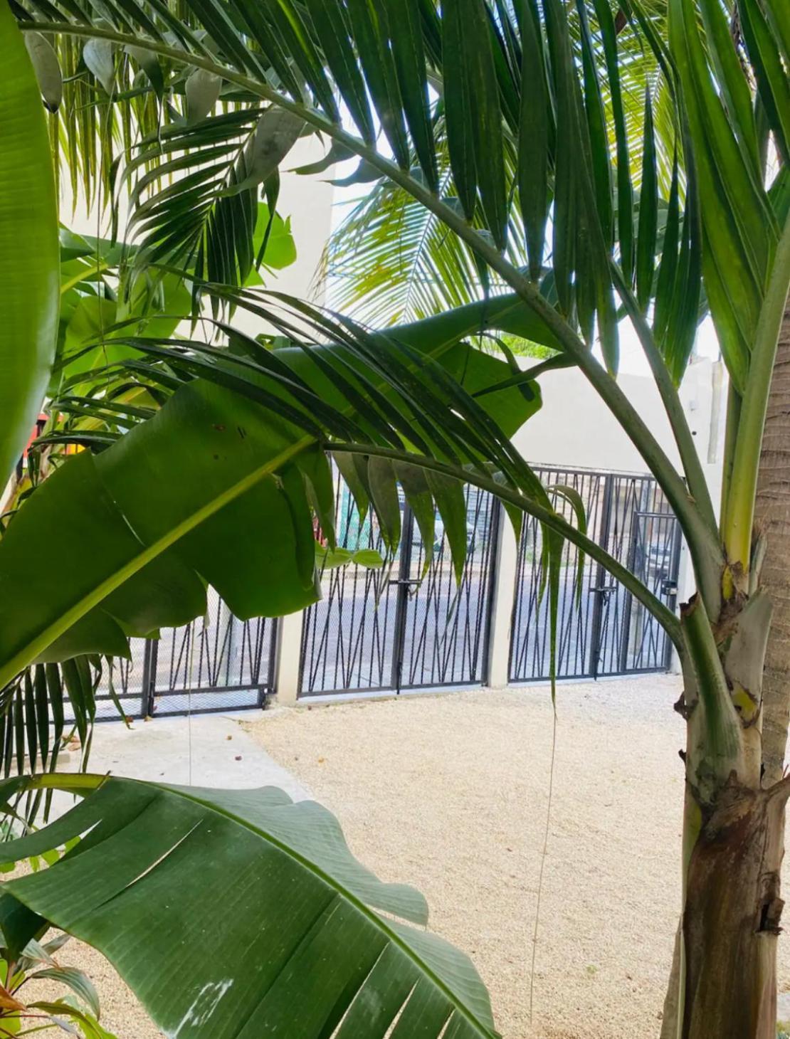 Apartment Coco 42 Playa del Carmen