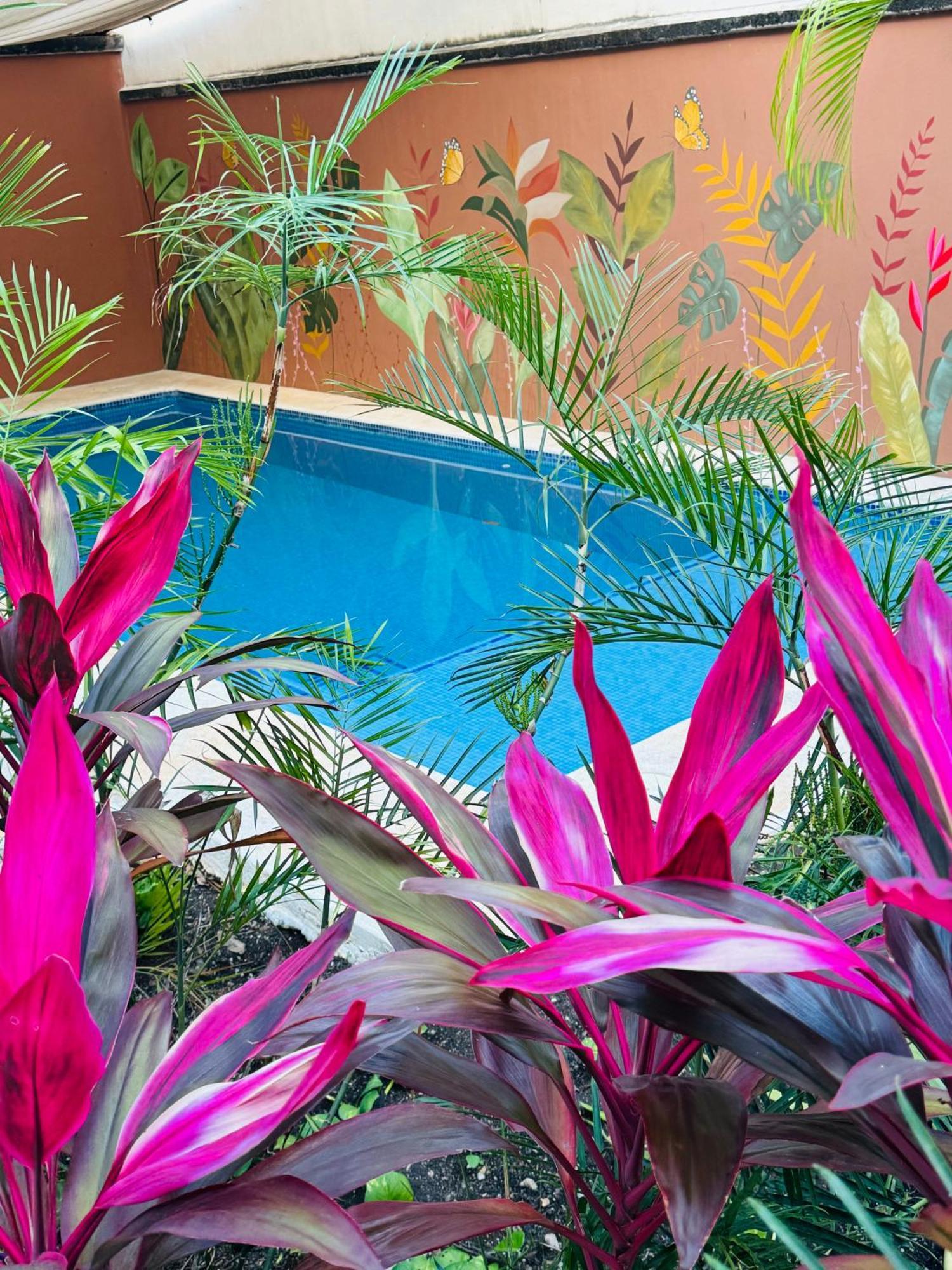 Acomodação com café da manhã  Butterfly House Playa del Carmen