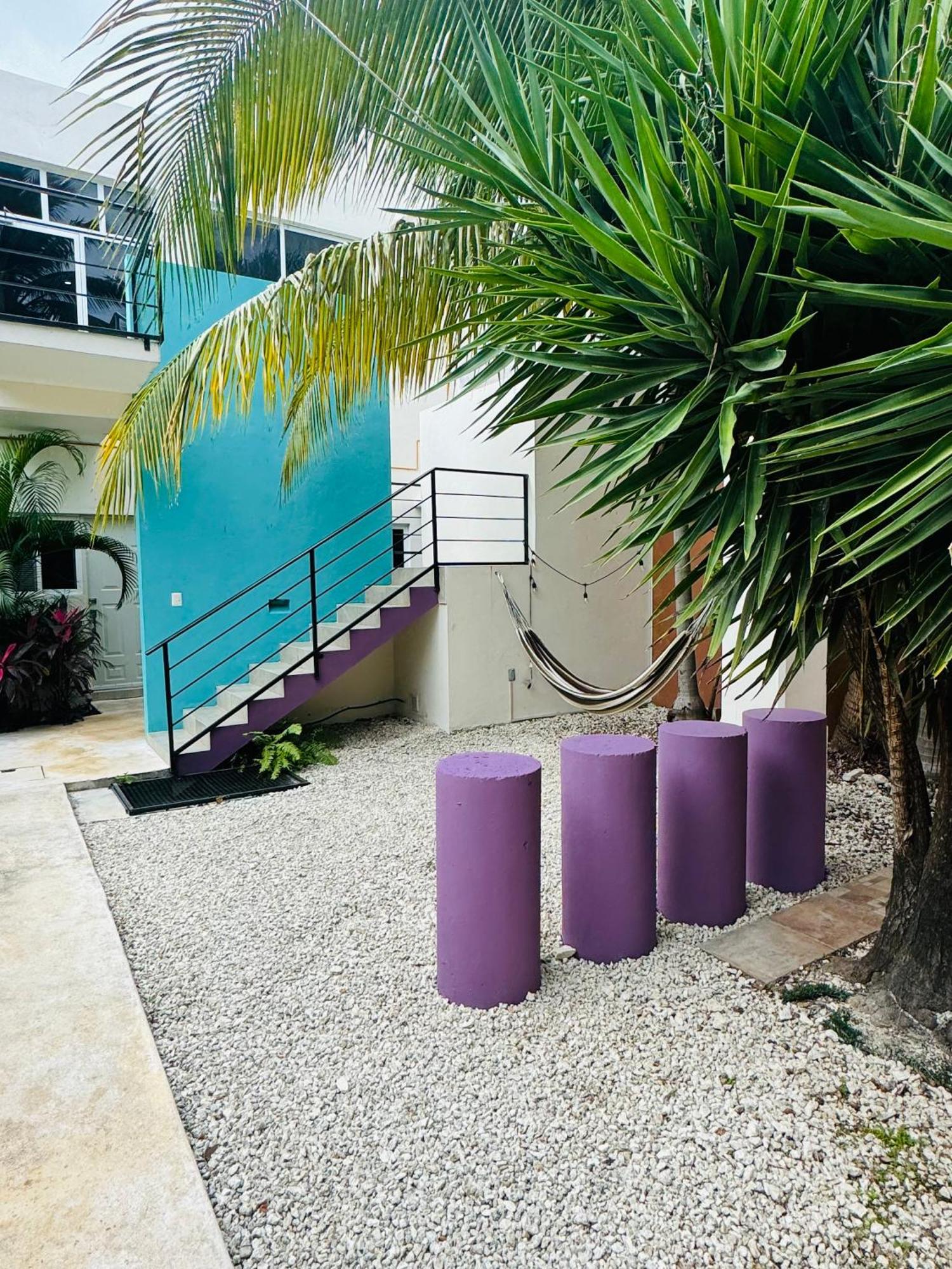 Acomodação com café da manhã  Butterfly House *