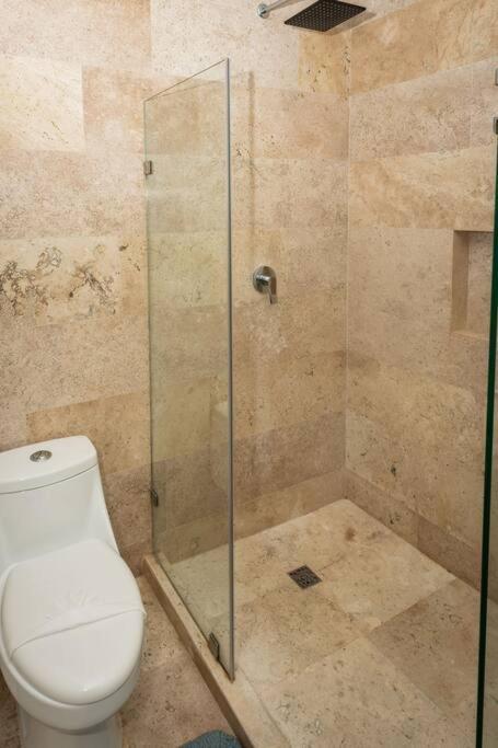 Apartment Penthouse Con Alberca Privada
