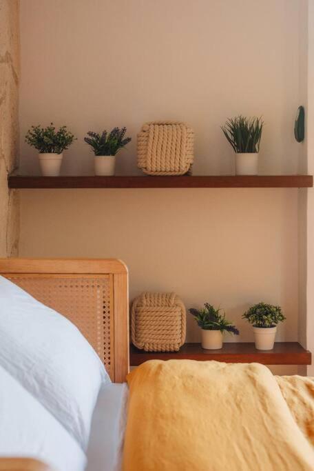 Apartment Brand New And Beautiful! Just Steps From The Playa del Carmen