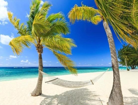 Luxury Coral Dream * Playa del Carmen