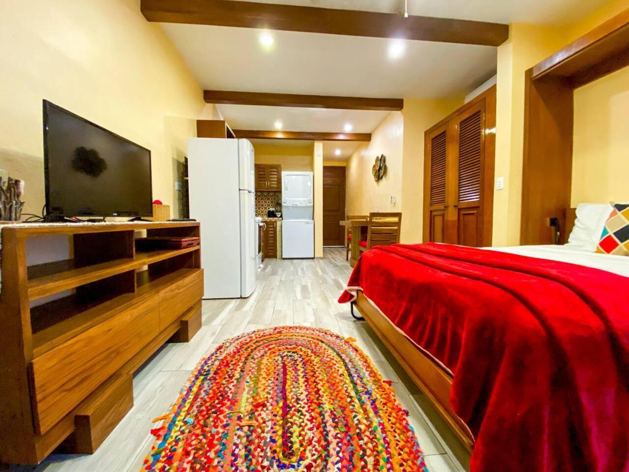 Apartment Sweet Downtown With Pool Stepsto Mamitas