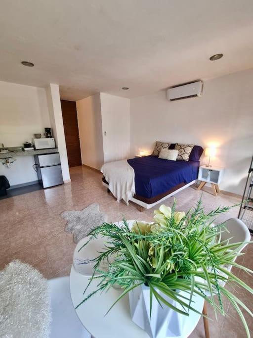 Departamento Centrico 5t Playa Ac