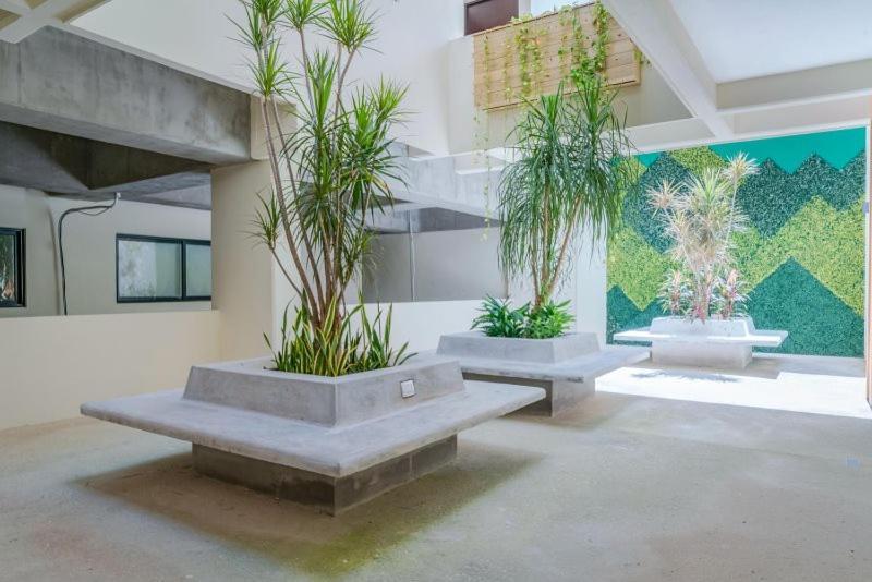 Estudio Veranto Apartamento Playa del Carmen