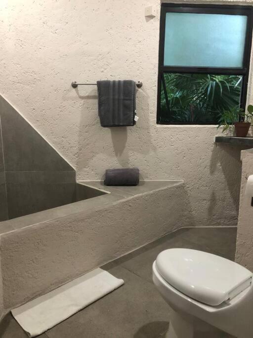 Apartment Departamento Junto Al Mar Playacar Fase 1 *