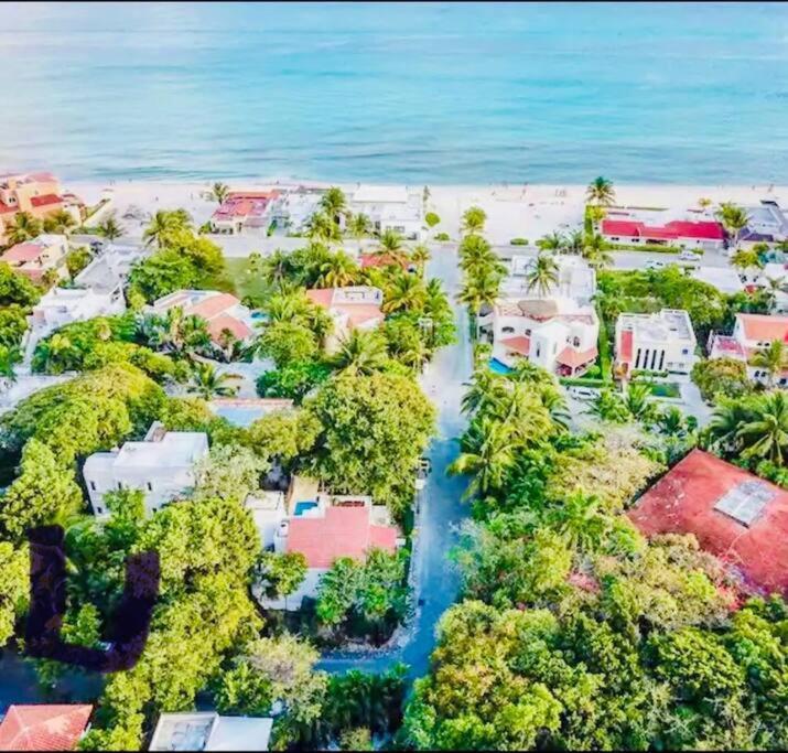 Departamento Junto Al Mar Playacar Fase 1 Apartment Playa del Carmen
