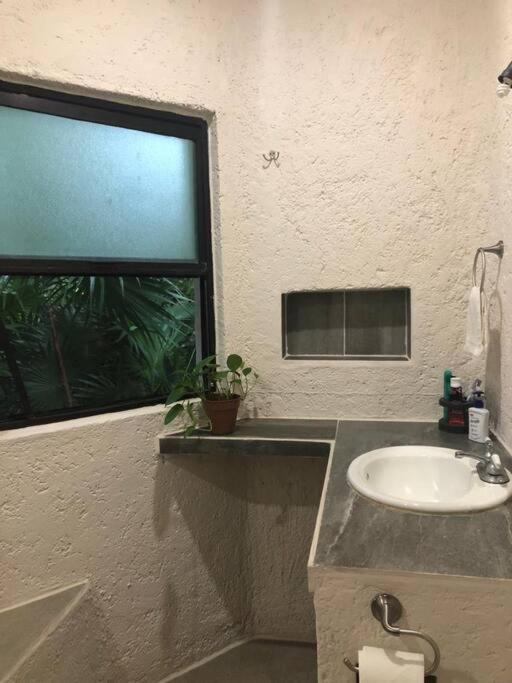 Departamento Junto Al Mar Playacar Fase 1 Apartment