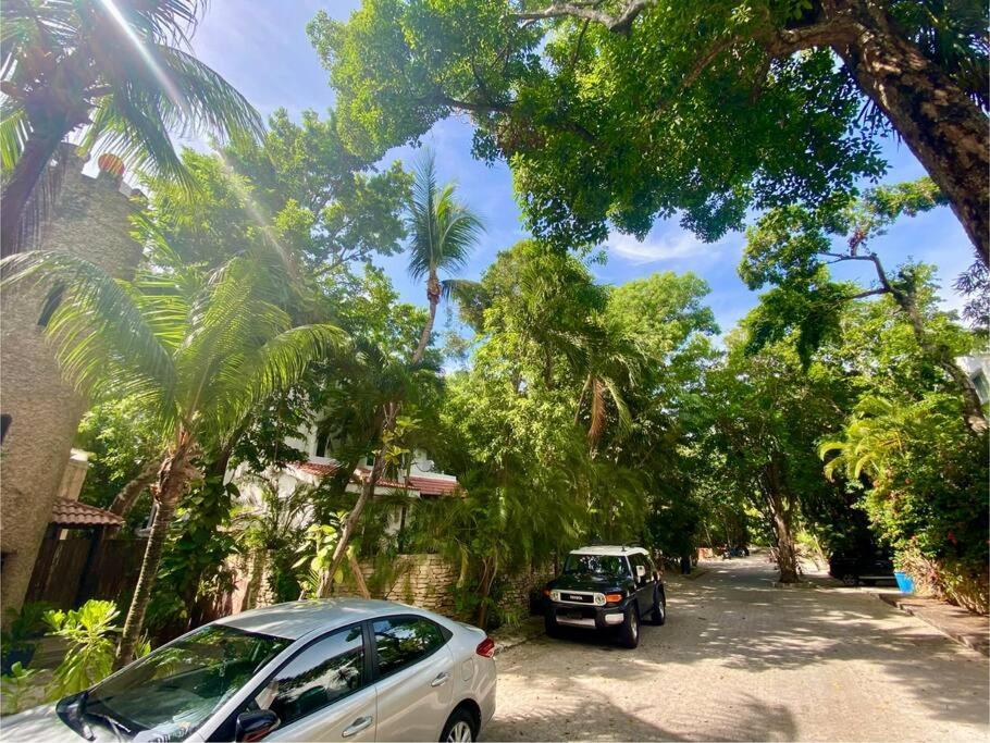 Departamento Junto Al Mar Playacar Fase 1 Apartment Playa del Carmen