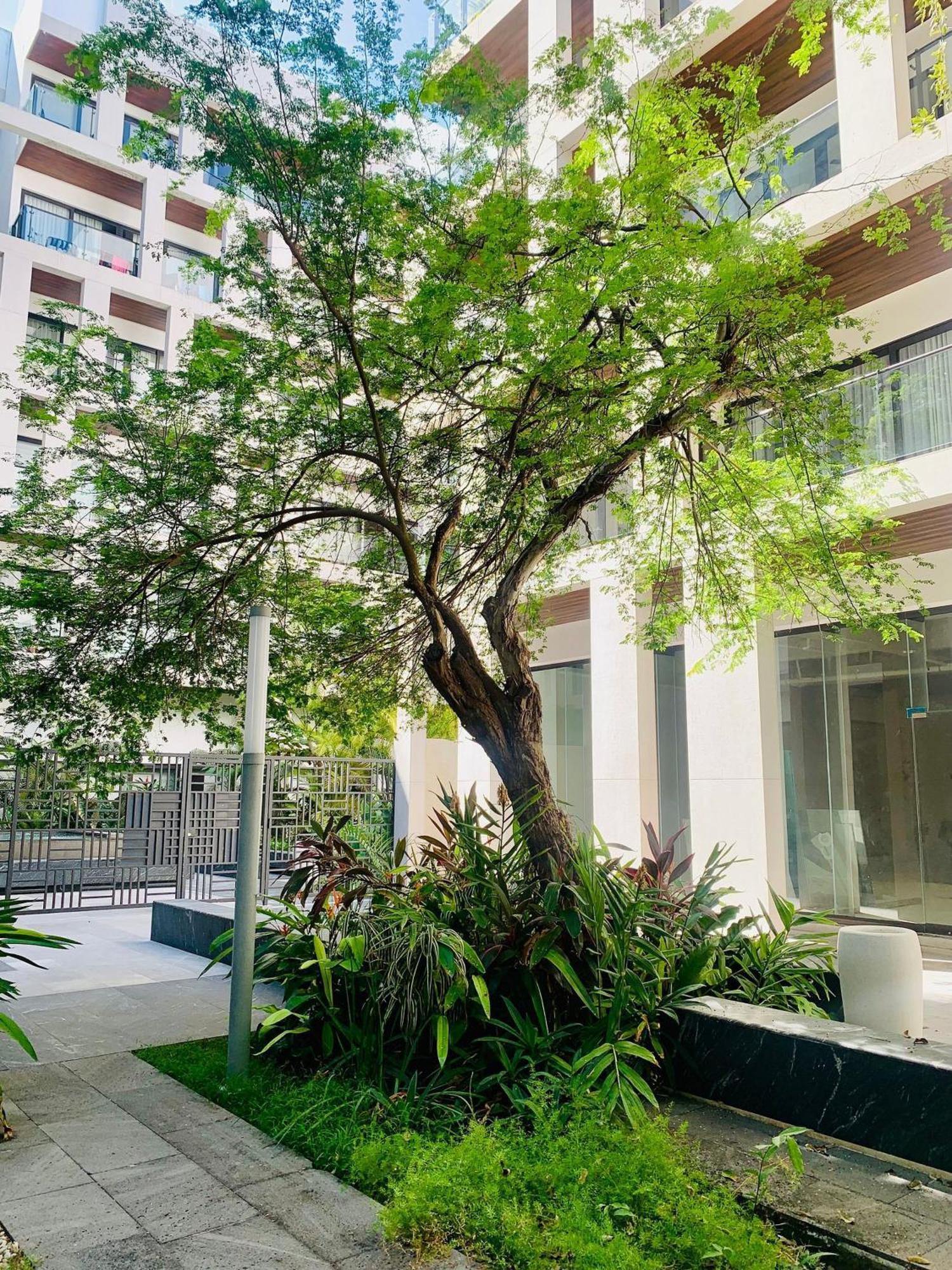 Ipana 2 Bedrooms 3 Blocks From The Sea.