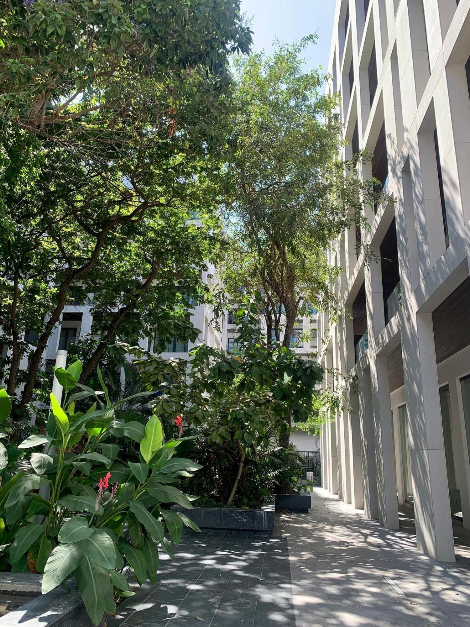 Ipana 2 Bedrooms 3 Blocks From The Sea. Holiday home Playa del Carmen