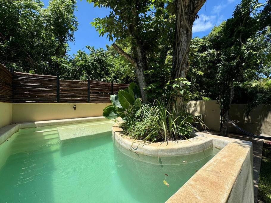 Lt 39 - Private Pool, Spacious Garden, Near Xcalacocobeach Nhà nghỉ *