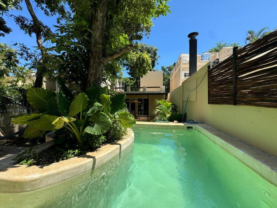 Nhà nghỉ Lt 39 - Private Pool, Spacious Garden, Near Xcalacocobeach Playa del Carmen