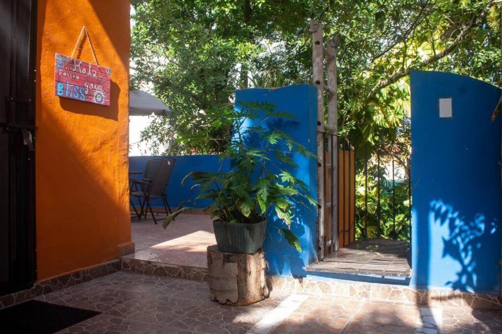 Apartment Casa Naranja