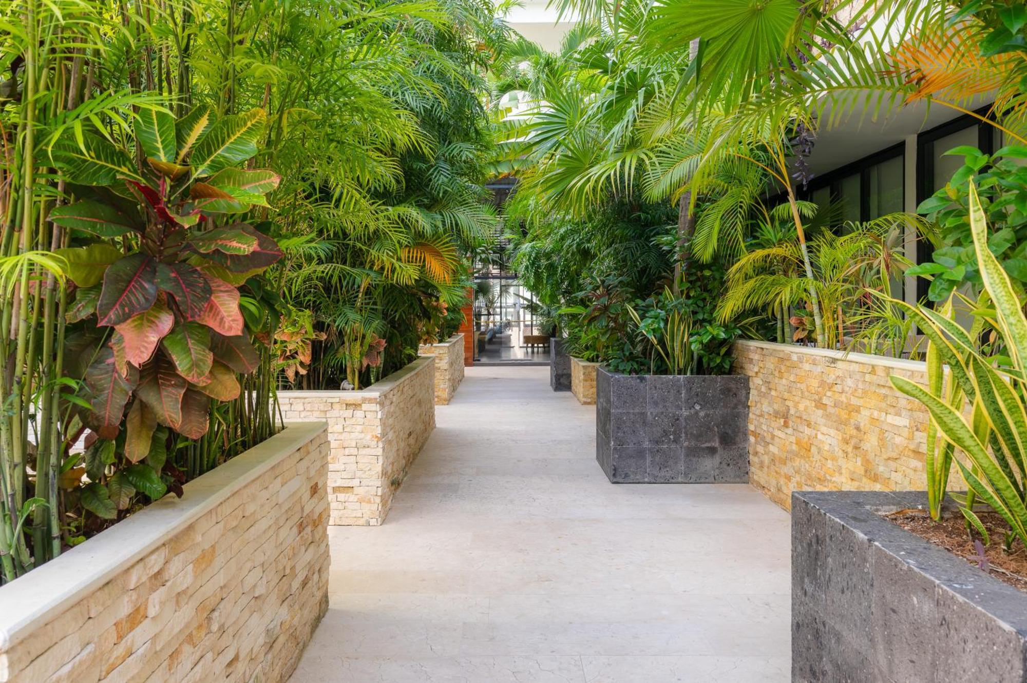 Tu Oasis En Apartment *
