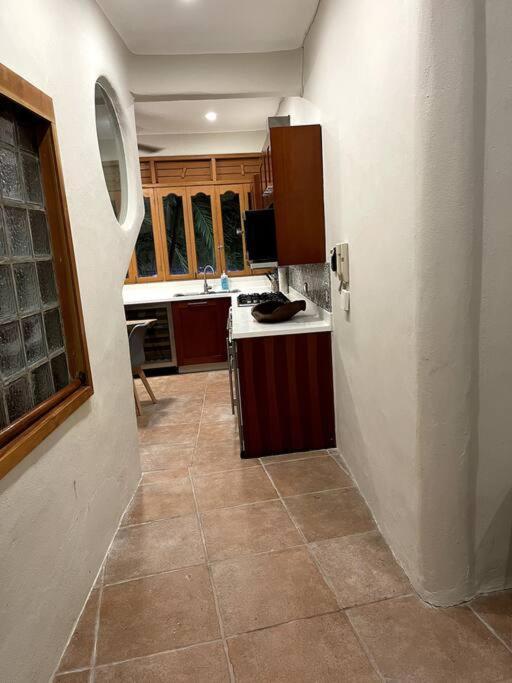 Jungle Meets Modern On 5th Avenue Playa del Carmen