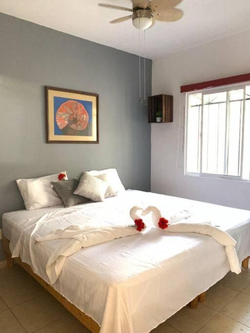 Departamento En Playa Del Carmen, La Casa De Leo 3 Apartment
